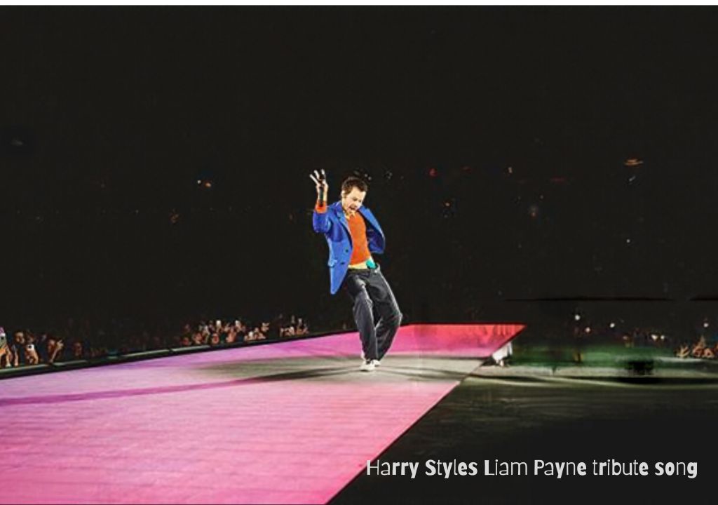 Harry Styles Liam Payne tribute song